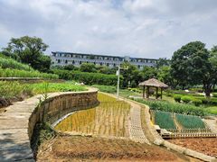 -天河儿童公园