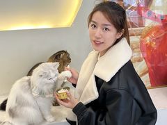 -共舞时光猫咖·狗咖(新街口店)