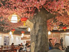 -马军烩面(总店)