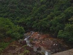 -广州白江湖森林公园