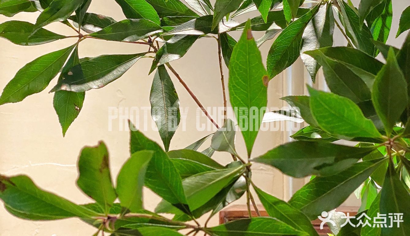 北京咖啡新店｜饭后拿一弯儿，你没事儿吧？我美式