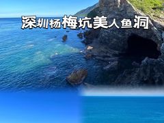 -杨梅坑