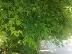-85度C(厦门台湾街店)