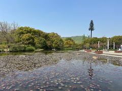 -白马涧龙池景区