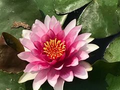 -天津东丽湖风景区