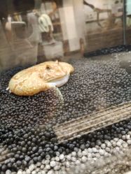 -Zoolung Zoolung动物主题公园(海信广场店)