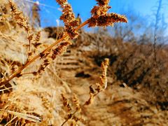 -蟠龙山长城景区
