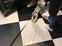 -Oh My Dog宠物沙龙(伊珊娜皮毛护理店)