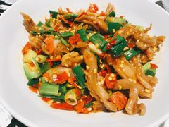 鸭掌筋-壹盏灯(蚂蚁工房店)