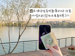 -羊山湖公园