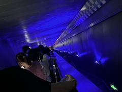 -白鹤梁水下博物馆
