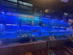 -老宋家鱼馆(北滨路店)