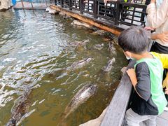 -华夏文旅海洋公园