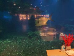 -海棠湾洲际-涛·海底餐厅·美人鱼·自助餐·海底隧道