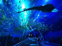 -成都浩海立方海洋公园