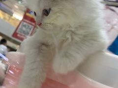-徐小包的奶茶(济宁万达店)