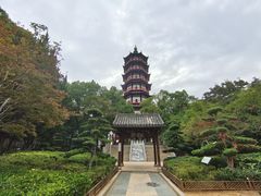 -绳金塔
