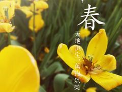 -大宁公园