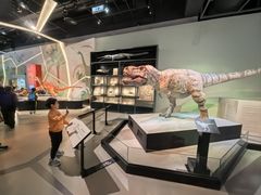 -香港科学馆