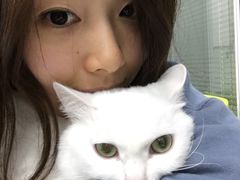 -美美宠物诊疗中心·异宠·骨科(滨江东信分院)