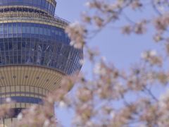 -中央广播电视塔