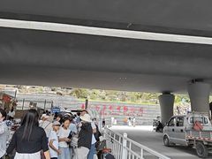 -青藏高原野生动物园