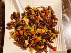 -燕青小馆(东园大厦店)