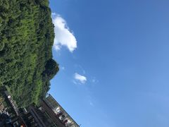 -藏龙百瀑漂流