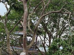 -海南文笔峰盘古文化旅游区