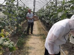 -马陆小张葡萄园农家乐