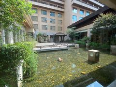 -三清山希尔顿度假酒店