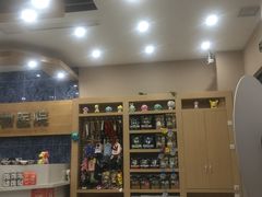 -瑞派名望24h动物医院异宠专科·猫专科·骨科·重症监护分院