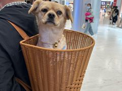 -大悦城(沈阳中街店)