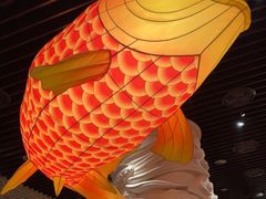 -肥福排档(星光店)