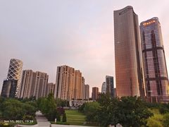-大望京公园