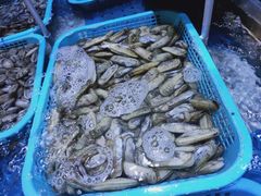 -锦绣金山人家(友谊店)