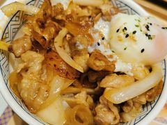 -吉野家(红博中央公园店)