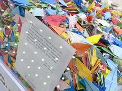 -上海失恋博物馆