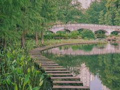 -重庆彩云湖湿地公园