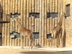 -济南野生动物世界