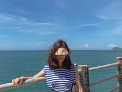 -广东惠东海龟国家级自然保护区