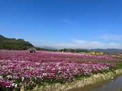 -径山花海