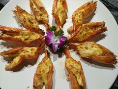 -梧桐庄园