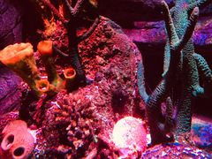 -沈阳海洋探索中心