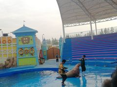 -华夏文旅海洋公园