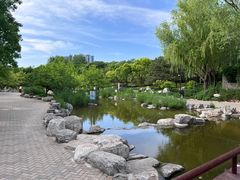 -大望京公园