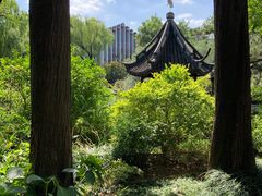 -上海醉白池公园