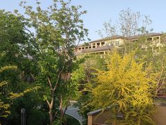 -清河半岛温泉度假酒店