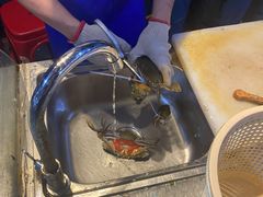-庆余生平价生猛海鲜(海棠湾林旺夜市店)