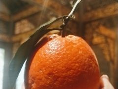 -椒香城门口老火锅(长寿路店)